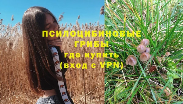 экстази Медвежьегорск