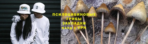 экстази Медвежьегорск