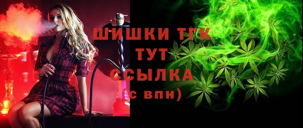 шишки Мегион