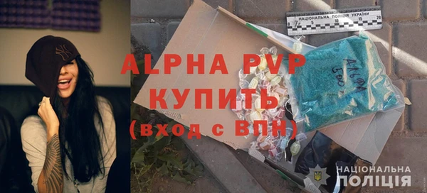 шишки Мегион