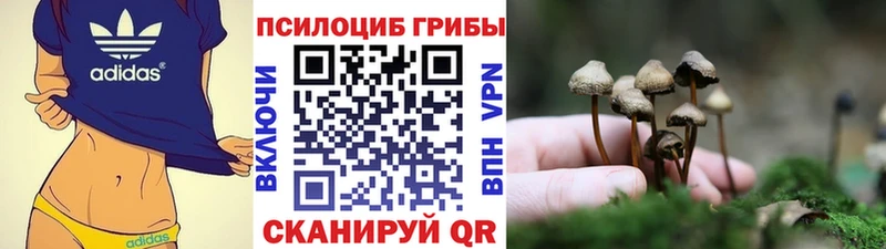 Галлюциногенные грибы прущие грибы где купить наркоту Камешково